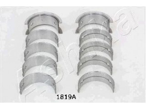 ASHIKA 86-1819A alkūninio veleno guolių rinkinys 
 Dviratė transporto priemonės -> Variklis -> Alkūninio veleno pavara -> Alkūninis velenas
MD026440