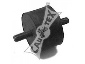 CAUTEX 060070 variklio montavimas
010426