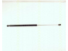 dujinė spyruoklė, bagažinė