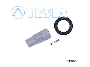 TESLA CP065 Drehmomentschlüssel 
 Kibirkšties / kaitinamasis uždegimas -> Uždegimo laidai/jungtys
4606869AA, 4606869AB