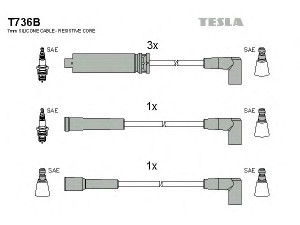 TESLA T736B uždegimo laido komplektas 
 Kibirkšties / kaitinamasis uždegimas -> Uždegimo laidai/jungtys
NP1332, NP1332