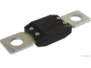 HERTH+BUSS ELPARTS 50295842 saugiklis
8200177920