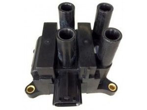 MAGNETI MARELLI 060717136012 ritė, uždegimas
L81318100