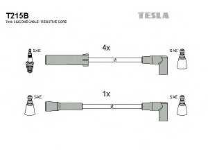 TESLA T215B uždegimo laido komplektas 
 Kibirkšties / kaitinamasis uždegimas -> Uždegimo laidai/jungtys
95659598