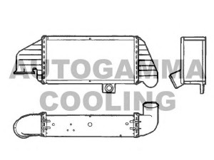 AUTOGAMMA 101508 tarpinis suslėgto oro aušintuvas, kompresorius
91FF9L440AB
