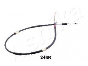 ASHIKA 131-02-246R trosas, stovėjimo stabdys 
 Stabdžių sistema -> Valdymo svirtys/trosai
4642029035