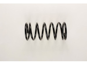 BILSTEIN 36-163298 spyruoklė 
 Pakaba -> Spyruoklės
6U0 411 105 G