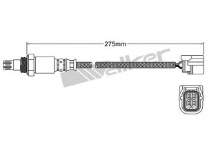 WALKER PRODUCTS 250-54041 lambda jutiklis 
 Variklis -> Variklio elektra
36531 RNA 003, 36531 RNA A01, 36531 RSH E01
