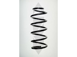 SPIDAN 48595 spyruoklė 
 Pakaba -> Spyruoklės
778, 7782857