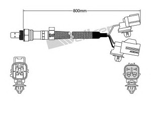 WALKER PRODUCTS 250-25066 lambda jutiklis 
 Variklis -> Variklio elektra
L33L188G1C, L33L188G1D, L37J188G1