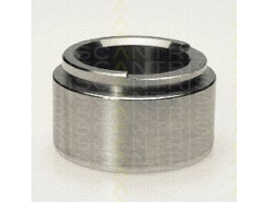 TRISCAN 8170 235702 stūmoklis, stabdžių apkaba