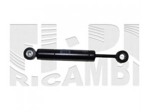 CALIBER 87816 diržo įtempiklis, V formos rumbuotas diržas 
 Diržinė pavara -> V formos rumbuotas diržas/komplektas -> Dirželio įtempiklis (įtempimo blokas)
2722000114