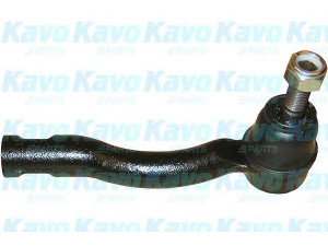 KAVO PARTS STE-9070 skersinės vairo trauklės galas 
 Vairavimas -> Vairo mechanizmo sujungimai
4504619195