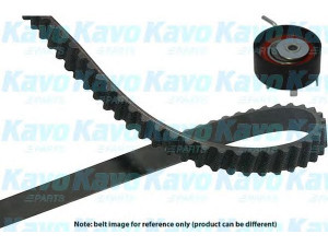 KAVO PARTS DKT-4531 paskirstymo diržo komplektas 
 Techninės priežiūros dalys -> Papildomas remontas