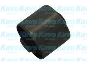 KAVO PARTS SCR-4064 valdymo svirties/išilginių svirčių įvorė 
 Ašies montavimas/vairavimo mechanizmas/ratai -> Valdymo svirtis/pasukamosios svirties sujungimas -> Montavimas/sutvirtinimas
552803E100, 552803E100