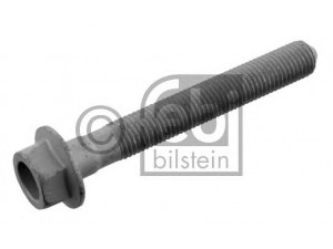 FEBI BILSTEIN 34225 varžtas
2000 873, 2000 938, 11096192, 11100011