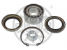 OPTIMAL 911623 rato guolio komplektas 
 Ašies montavimas/vairavimo mechanizmas/ratai -> Rato stebulė/montavimas -> Rato guolis
91051-634-008, 91051-689-003, 91051-689-014