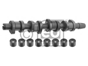 FEBI BILSTEIN 33197 skirstomojo veleno komplektas 
 Variklis -> Variklio uždegimo laiko reguliavimo kontrolė -> Skirstomasis velenas
038 109 101 AF, 038 109 101 AF S1
