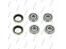 NPS T472A03 remonto komplektas, šerdesas 
 Ašies montavimas/vairavimo mechanizmas/ratai -> Pasukamojo kakliuko remonto rinkinys -> Remonto komplektas, karbiuratorius
0443460031