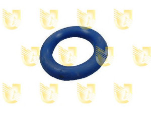 UNIGOM 166030S spaustukas, duslintuvas 
 Išmetimo sistema -> Surinkimo dalys -> Atskiros surinkimo dalys -> Guminis žiedas
7700849696