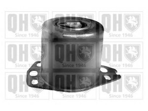 QUINTON HAZELL EM4090 montavimas, automatinė transmisija; montavimas, neautomatinė transmisija 
 Transmisija -> Automatinė pavarų dėžė -> Transmisijos montavimas
46465201