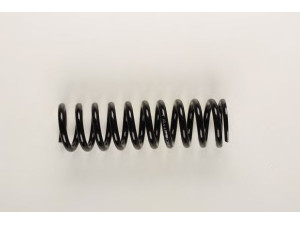 BILSTEIN 36-129416 spyruoklė 
 Pakaba -> Spyruoklės
124 324 11 04