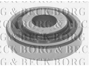 BORG & BECK BSM5281 frikcinis guolis, pakabos statramsčio atramos montavimas 
 Ašies montavimas/vairavimo mechanizmas/ratai -> Montavimas, pakabos statramstis
5432500QAB, 4408056, 91166315, 8200010518