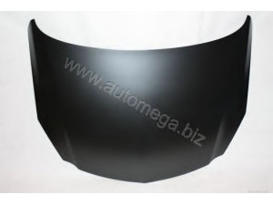 AUTOMEGA 3011600013 gaubtas
1160013, 13276949