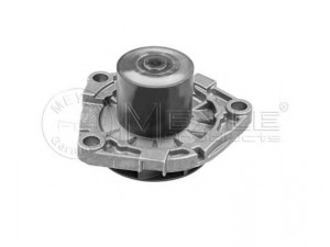 MEYLE 613 220 0006 vandens siurblys 
 Aušinimo sistema -> Vandens siurblys/tarpiklis -> Vandens siurblys
46804051, 46804051, 46804051, 13 34 147