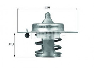 MAHLE ORIGINAL TX 60 83D termostatas, aušinimo skystis 
 Aušinimo sistema -> Termostatas/tarpiklis -> Thermostat
91 500 723 80, 915 00 723, 915007380