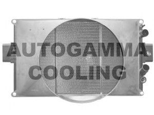 AUTOGAMMA 300768 radiatorius, variklio aušinimas