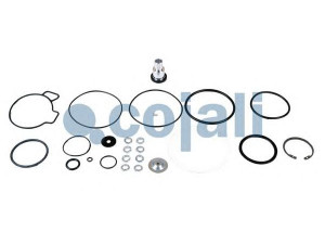 COJALI 6014208 remonto komplektas