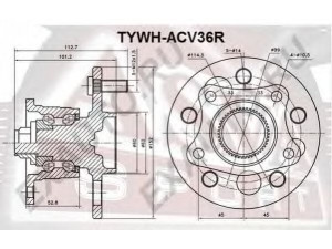 ASVA TYWH-ACV36R rato stebulė 
 Ašies montavimas/vairavimo mechanizmas/ratai -> Rato stebulė/montavimas -> Rato stebulė
42410-06010, 42410-06020, 42410-07010