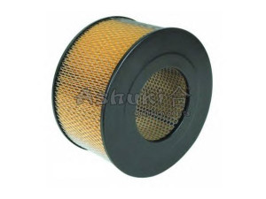 ASHUKI T108-02 oro filtras 
 Techninės priežiūros dalys -> Techninės priežiūros intervalai
06540298/MAHLE, 17801-54160, 17801-54180