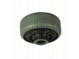 TRISCAN 8500 16805 valdymo svirties/išilginių svirčių įvorė 
 Ašies montavimas/vairavimo mechanizmas/ratai -> Valdymo svirtis/pasukamosios svirties sujungimas -> Montavimas/sutvirtinimas
1023058