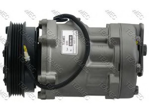 TEAMEC 8600102 kompresorius, oro kondicionierius 
 Oro kondicionavimas -> Kompresorius/dalys
7700300462