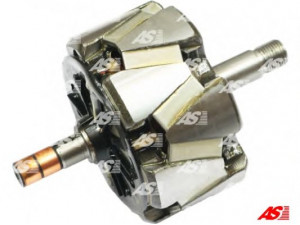 AS-PL AR1006 rotorius, kintamosios srovės generatorius