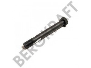 BERGKRAFT BK8200491 lingės varžtas
1 338 491, 1 548 055, 1338491, 1548055
