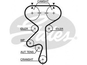 GATES 5408XS paskirstymo diržas 
 Techninės priežiūros dalys -> Papildomas remontas
5636358, 5636363, 5636563, 636573