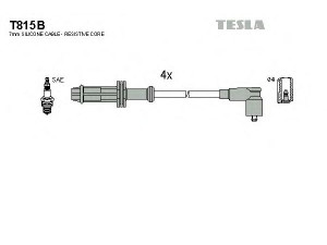 TESLA T815B uždegimo laido komplektas 
 Kibirkšties / kaitinamasis uždegimas -> Uždegimo laidai/jungtys
5967.N6, 5967.P1, 5967.N6, 5967.P1