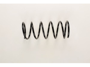 BILSTEIN 36-219636 spyruoklė 
 Pakaba -> Spyruoklės
1238330, 3S51 5310 CB