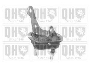 QUINTON HAZELL EM2517 rėmas, ašies korpusas 
 Ašies montavimas/vairavimo mechanizmas/ratai -> Ašies atrama/ašies korpusas/ašies montavimas -> Pasukamojo veleno sujungimas
5131 69, 5131 82, 5131 69, 5131 82