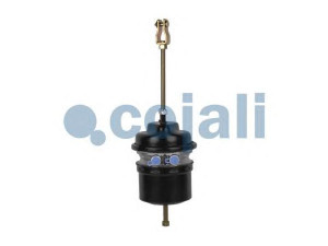 COJALI 2251526 spyruoklinis stabdžių cilindras