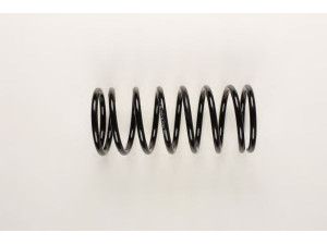 BILSTEIN 36-163304 spyruoklė 
 Pakaba -> Spyruoklės
6U0 411 105 D