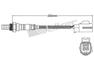 WALKER PRODUCTS 250-24714 lambda jutiklis 
 Išmetimo sistema -> Jutiklis/zondas
MHK 501050, MHK500840