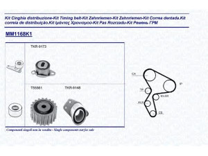 MAGNETI MARELLI 341311681101 paskirstymo diržo komplektas 
 Techninės priežiūros dalys -> Papildomas remontas
