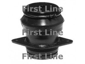FIRST LINE FEM3109 variklio montavimas 
 Variklis -> Variklio montavimas -> Variklio montavimo rėmas
1H0199262E