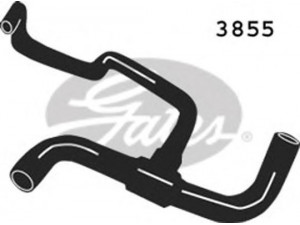 GATES 3855 radiatoriaus žarna
7700829988