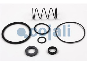 COJALI 6012253 remonto komplektas, greitinimo vožtuvas