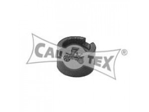 CAUTEX 460109 valdymo svirties/išilginių svirčių įvorė 
 Ašies montavimas/vairavimo mechanizmas/ratai -> Valdymo svirtis/pasukamosios svirties sujungimas -> Montavimas/sutvirtinimas
811412365, 811412365, 811412365